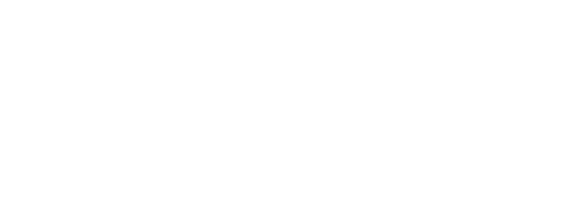 Somatic Intelligence